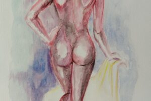 FIGURA1-2